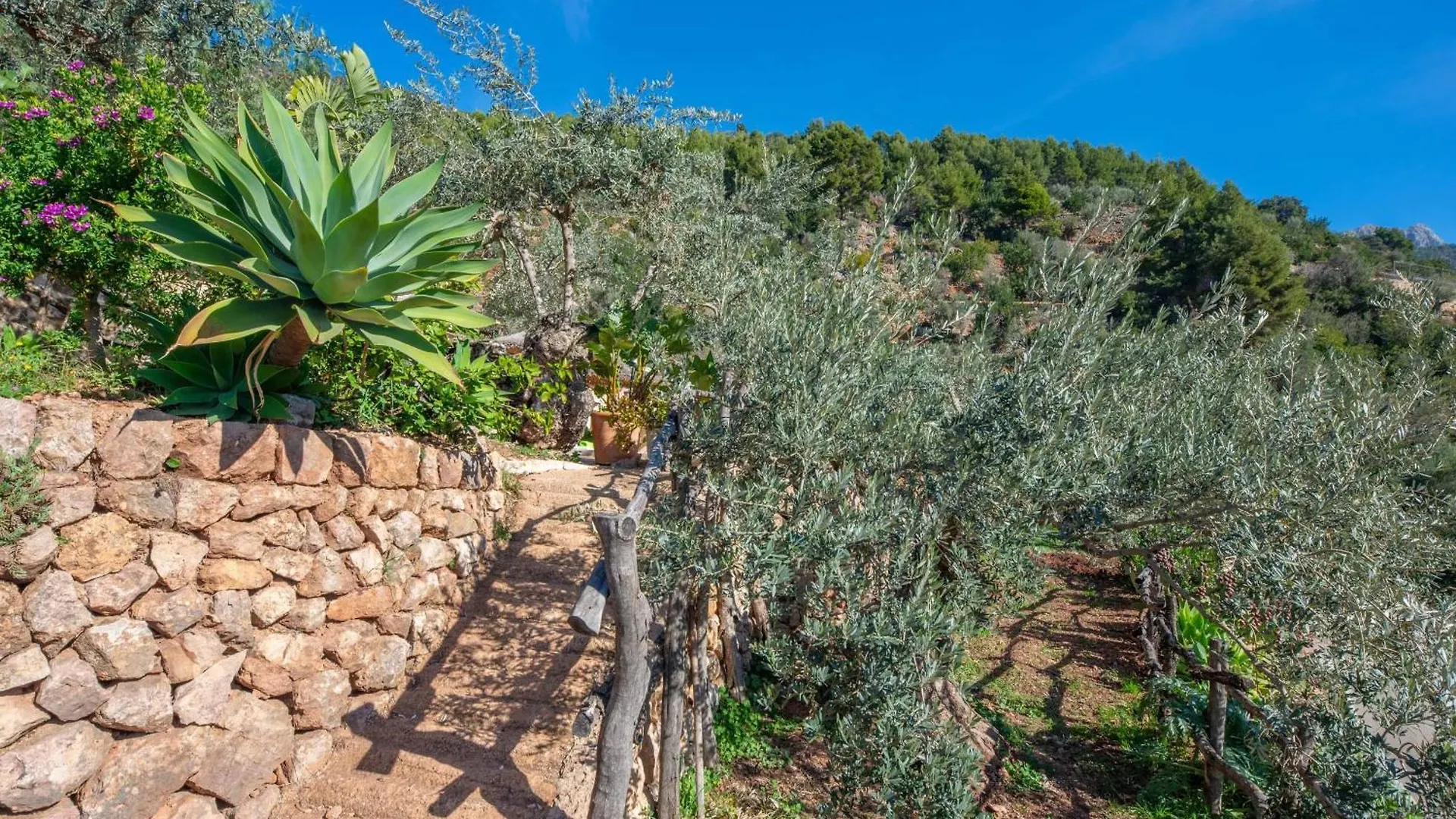 Ses Begudes Villa Fornalutx 0*,  Spain