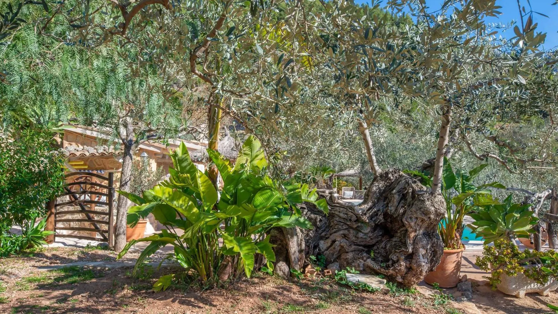 Ses Begudes Villa Fornalutx Spain